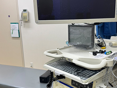 消化管内視鏡システム